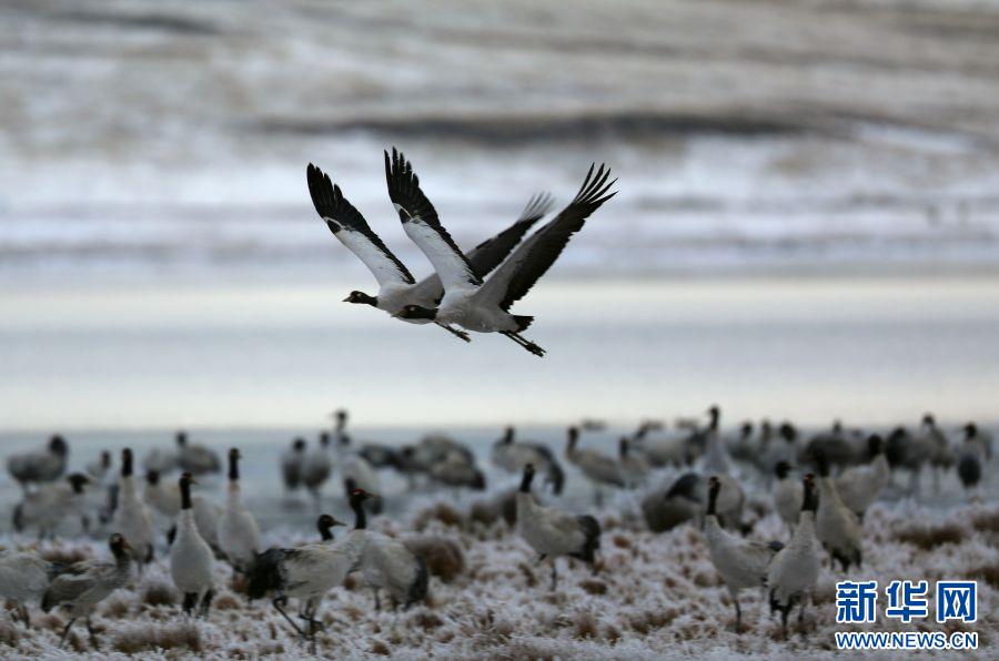 202401287caf3e8f65e5499588e0f0c0e97ddd48_202401261ecc8c0af12f46bdb2dc3dd9d0dc540d