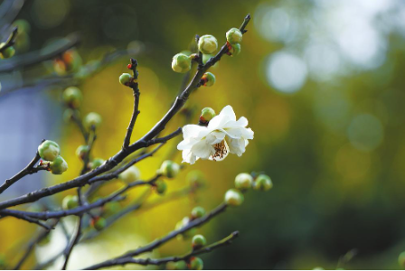 微信圖片_20240129180141 微信圖片_20240129180141