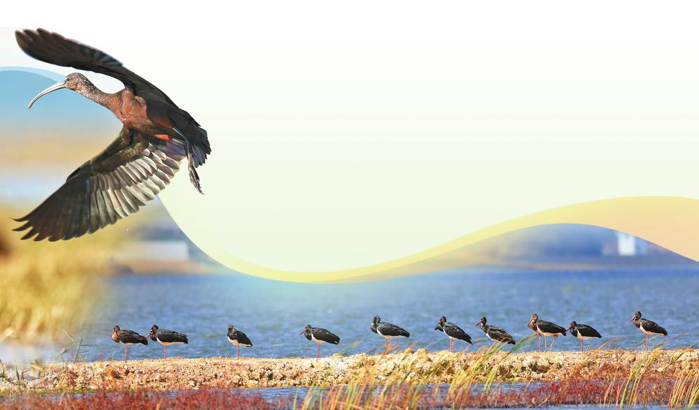 微信圖片_20240204081039 微信圖片_20240204081039