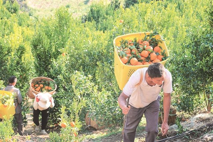 企業(yè)微信截圖_17071781241533