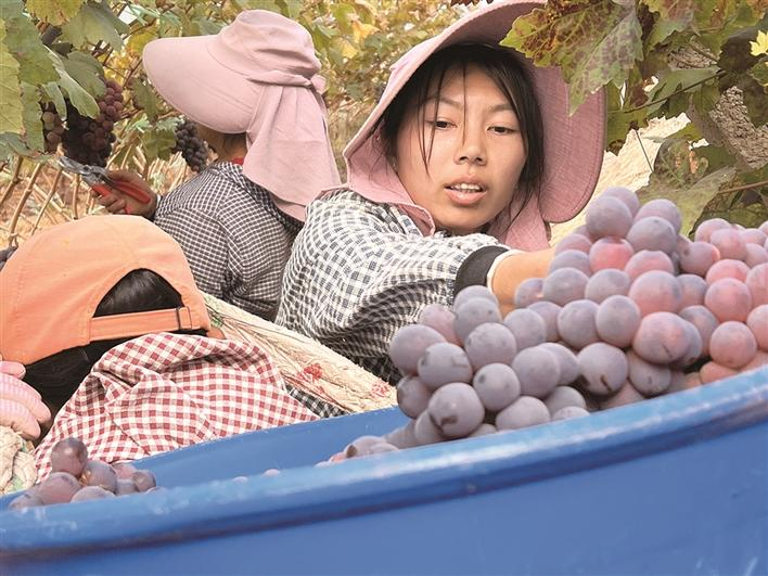 企業(yè)微信截圖_17071781319258