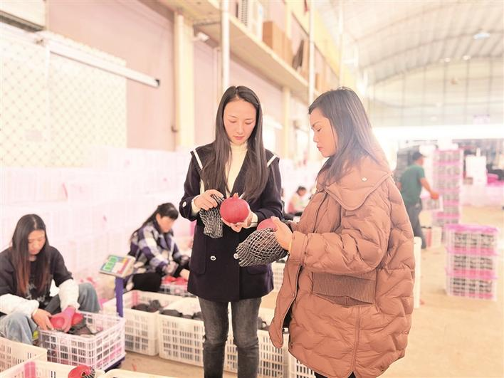 企業(yè)微信截圖_17071781451195