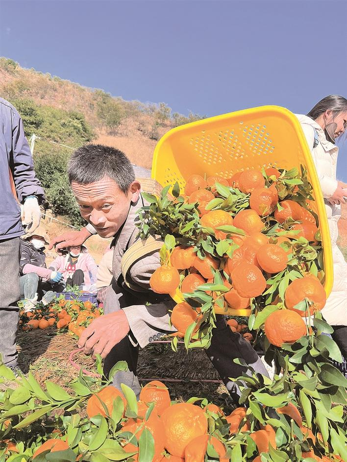 企業(yè)微信截圖_17071781504962