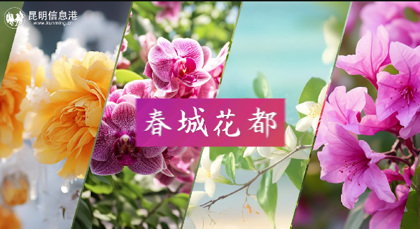 QQ截圖20240207160519