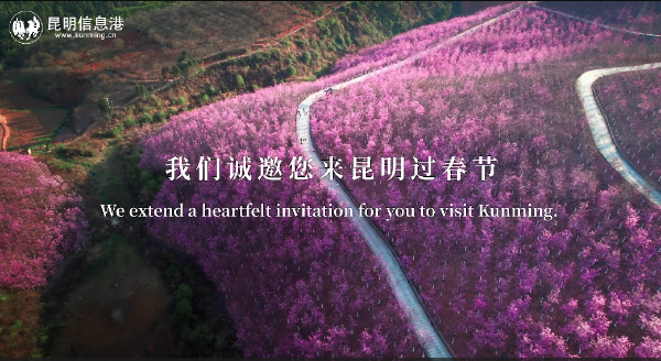 QQ截圖20240207160619