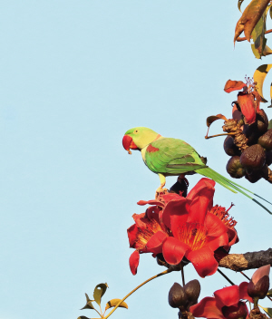 38881708362269286 38881708362269286