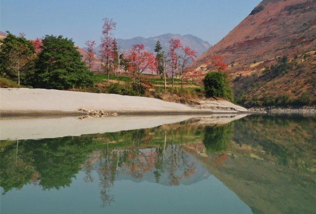 怒江畔：春江水暖木棉紅，碧水藍天美如畫。（資料圖） 孫家貴攝.jpg