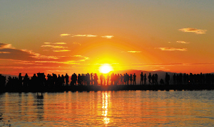 40161709492210633 40161709492210633