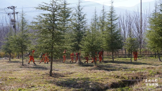 （采訪傳編輯）700余名森林消防指戰(zhàn)員集中野外駐訓，全面提升防滅火實戰(zhàn)能力 (37).JPG
