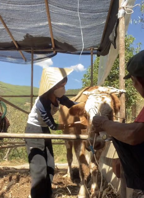 云龍00后獸醫(yī)-馬雯-受訪者供圖 (1).jpg