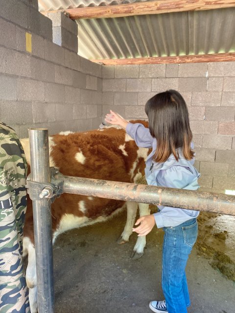 云龍00后獸醫(yī)-馬雯-受訪者供圖 (2).jpg