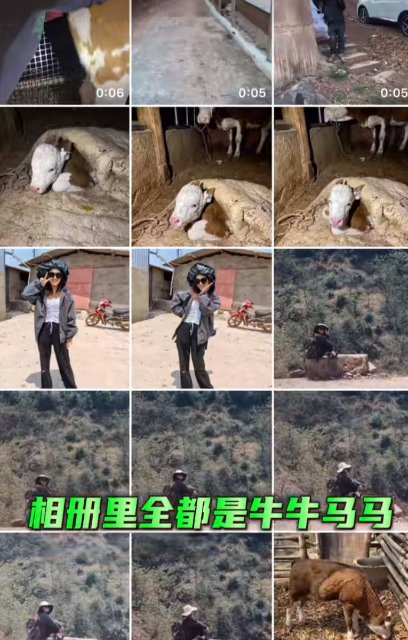 云龍00后獸醫(yī)-馬雯-受訪者供圖 (5).jpg