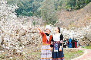 27441709577790870 27441709577790870