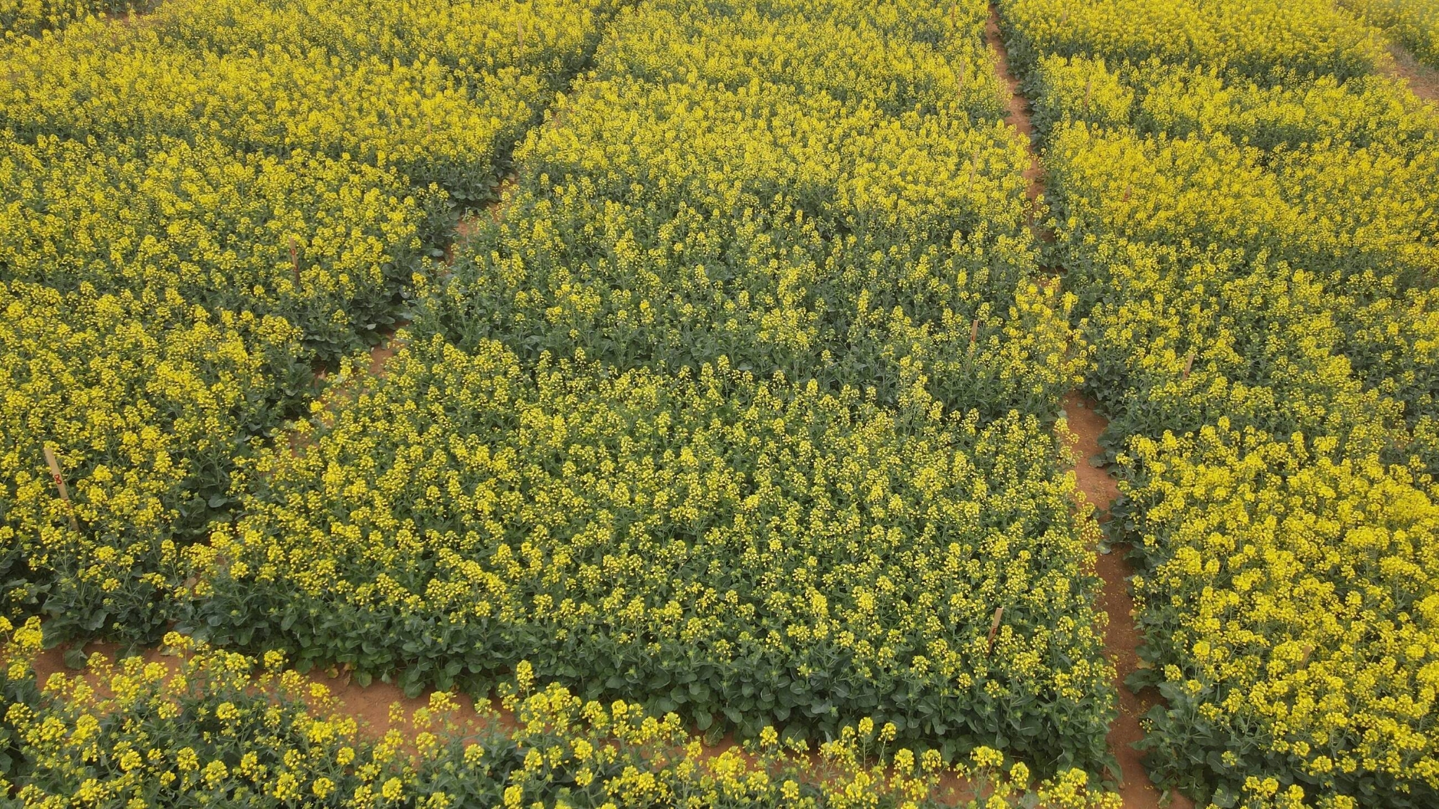 32412C6DA9BC4D3EA65D572601DED5EB 32412C6DA9BC4D3EA65D572601DED5EB