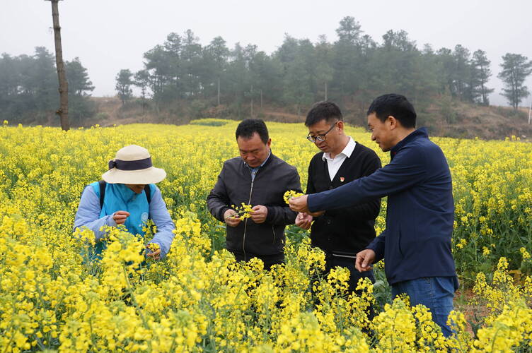 FD2A47CB5F384F8EA9AB6FDBFCC2FFFD FD2A47CB5F384F8EA9AB6FDBFCC2FFFD