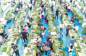 48881709669365896 48881709669365896