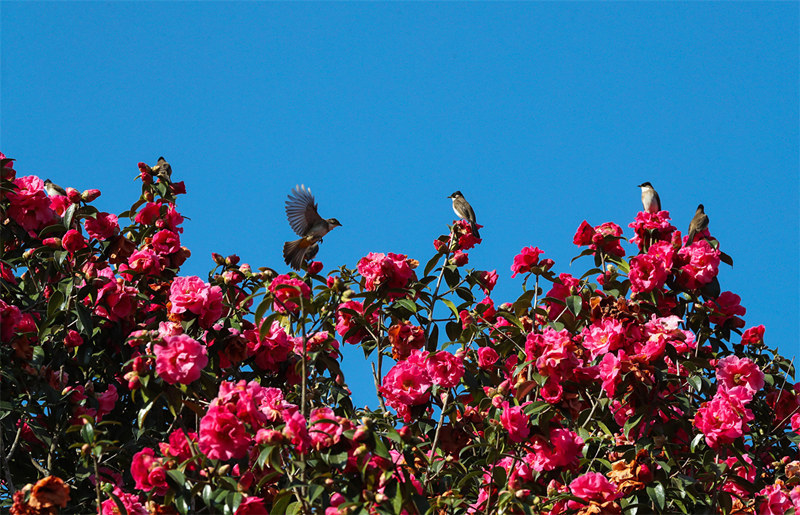 2e90cedf-bb21-4b41-94d2-064330a22d55_l 2e90cedf-bb21-4b41-94d2-064330a22d55_l