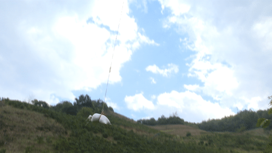 試飛成功！這個惠農(nóng)“新幫手” 省時！省力！