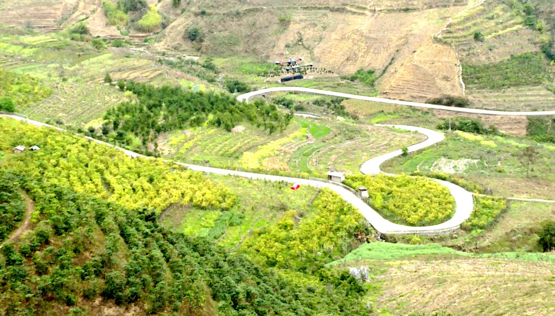 試飛成功！這個惠農(nóng)“新幫手” 省時！省力！