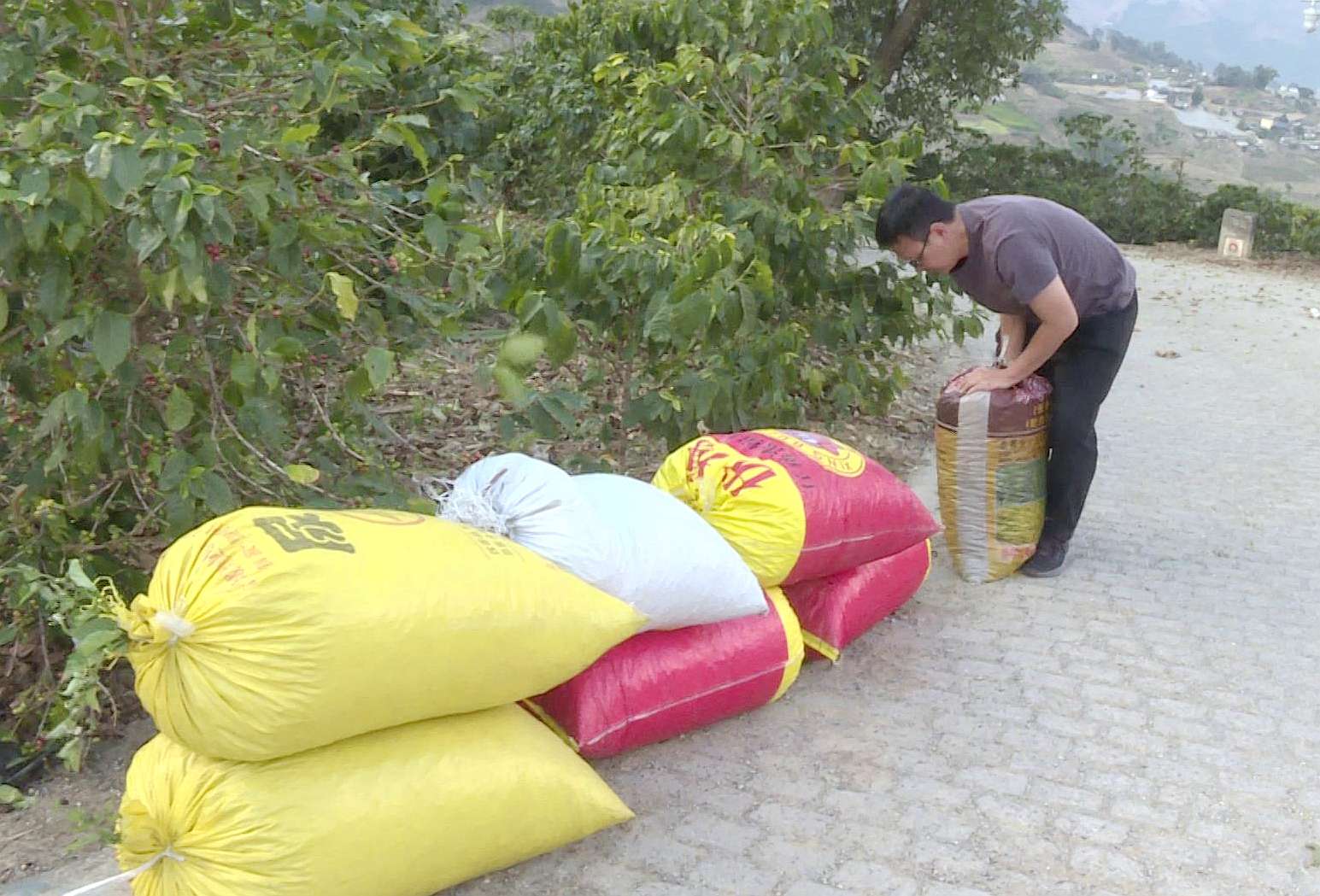 試飛成功！這個惠農(nóng)“新幫手” 省時！省力！