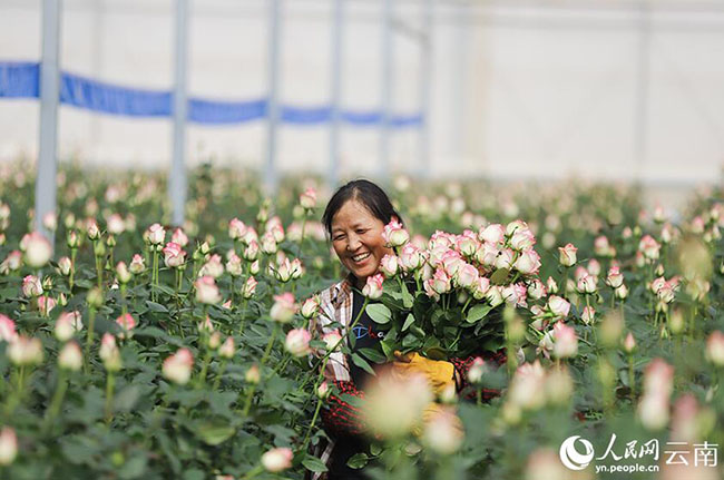 QQ截圖20240307111517