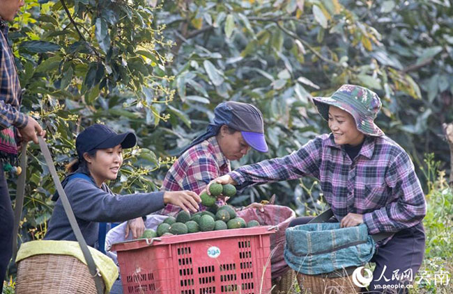 QQ截圖20240307111720