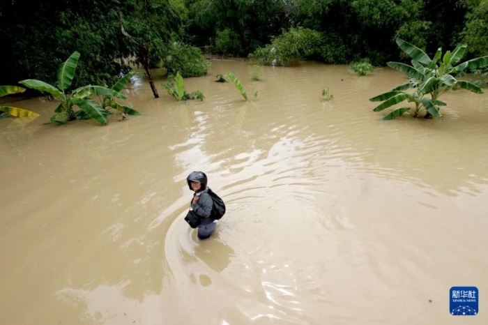 PHOTPLwJqLd4tx6MiIvmTqvt240311_1000x2000