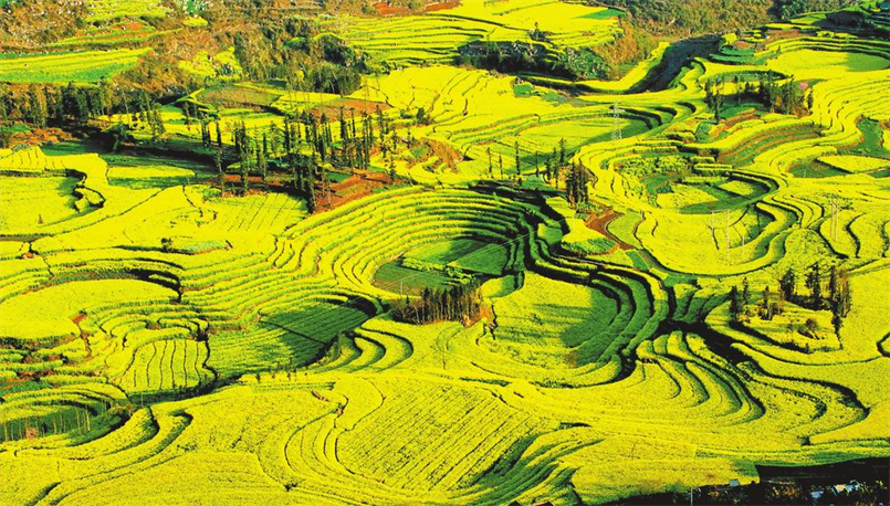 微信圖片_20240315085232 微信圖片_20240315085232