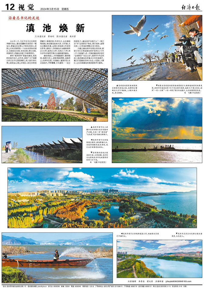 2024031572941 2024031572941