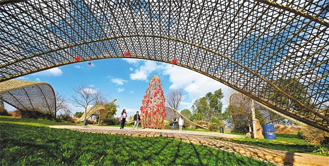 2024031559312-2 2024031559312-2