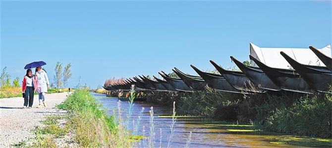 2024031556743 2024031556743