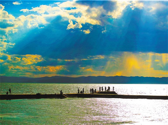 2024031558804 2024031558804