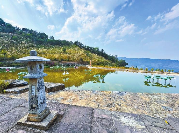 e8ed2d07-d801-4aac-8a0c-8c6cd9cfbc04