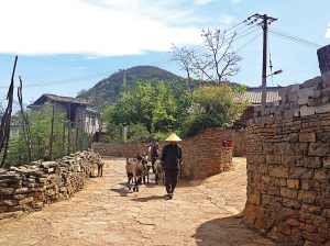 石林糯黑村 本版圖片 ■ 都市時(shí)報(bào)全媒體記者 劉巧紅 石林糯黑村 本版圖片 ■ 都市時(shí)報(bào)全媒體記者 劉巧紅