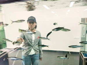 62181712511648439 62181712511648439