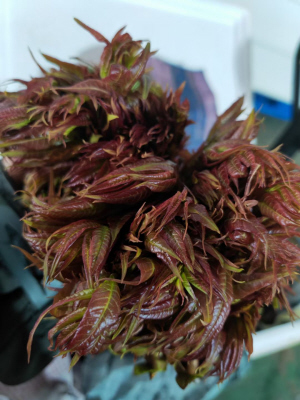 65741712770597169 65741712770597169