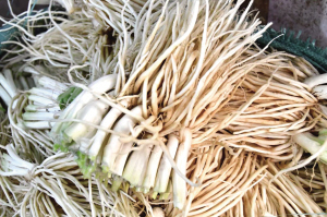 53411712770597154 53411712770597154