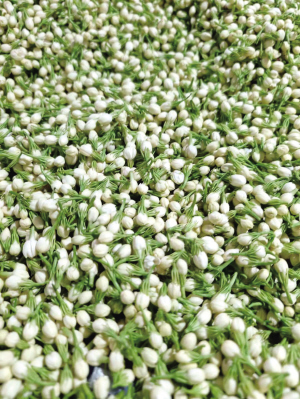 17921712770597138 17921712770597138