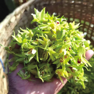 67911712770597138 67911712770597138