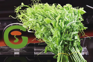 27561712770597122 27561712770597122