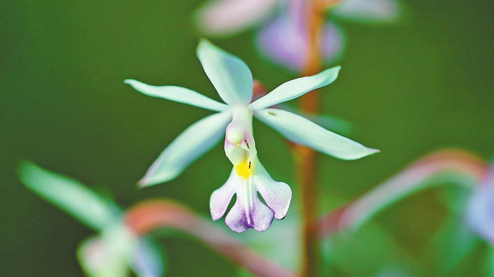 微信圖片_20240414093445