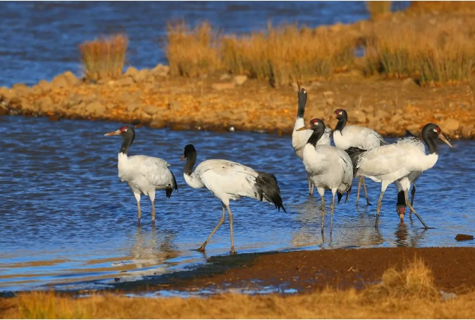 微信截圖_20240417234019 微信截圖_20240417234019