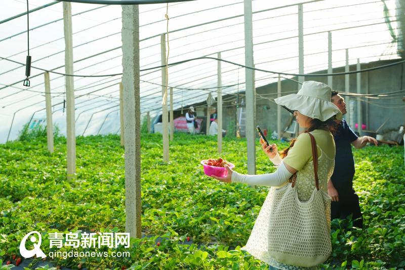 網(wǎng)絡(luò)名人“觸電”谷雨 玩轉(zhuǎn)傳統(tǒng)農(nóng)耕文化 探尋春日悠然時光 網(wǎng)絡(luò)名人“觸電”谷雨 玩轉(zhuǎn)傳統(tǒng)農(nóng)耕文化 探尋春日悠然時光