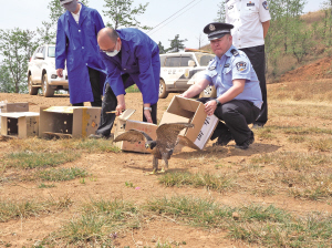 民警放飛鳥兒回歸大自然 本版圖片 供圖