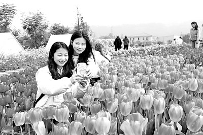 “國(guó)韻”悠長(zhǎng)，國(guó)潮何以成熱潮