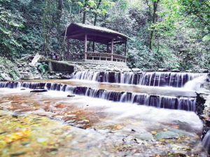 哀牢山秘境 哀牢山秘境