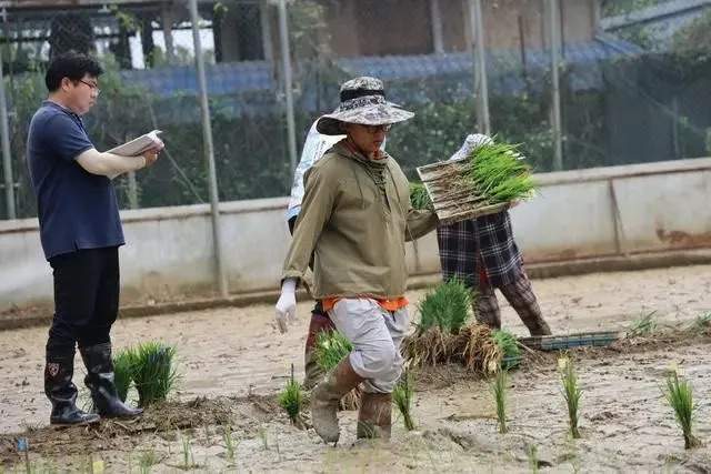 圖片8.jpeg?x-oss-process=style/w10