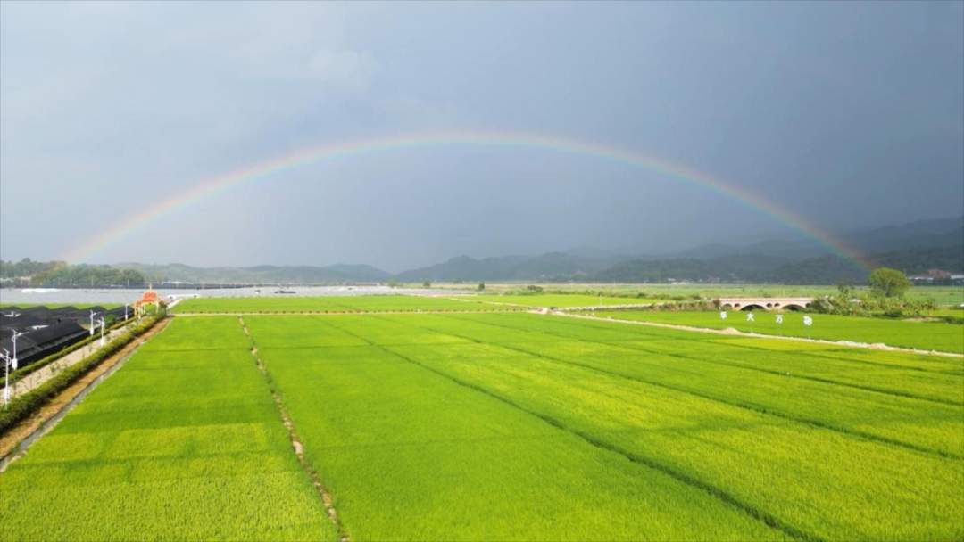 圖片13.jpeg?x-oss-process=style/w10