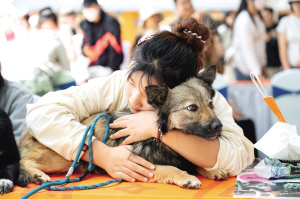往屆寵物領(lǐng)養(yǎng)日活動現(xiàn)場，經(jīng)常出現(xiàn)感人的暖心畫面 本組圖片 供圖