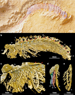 84831714942884340 84831714942884340
